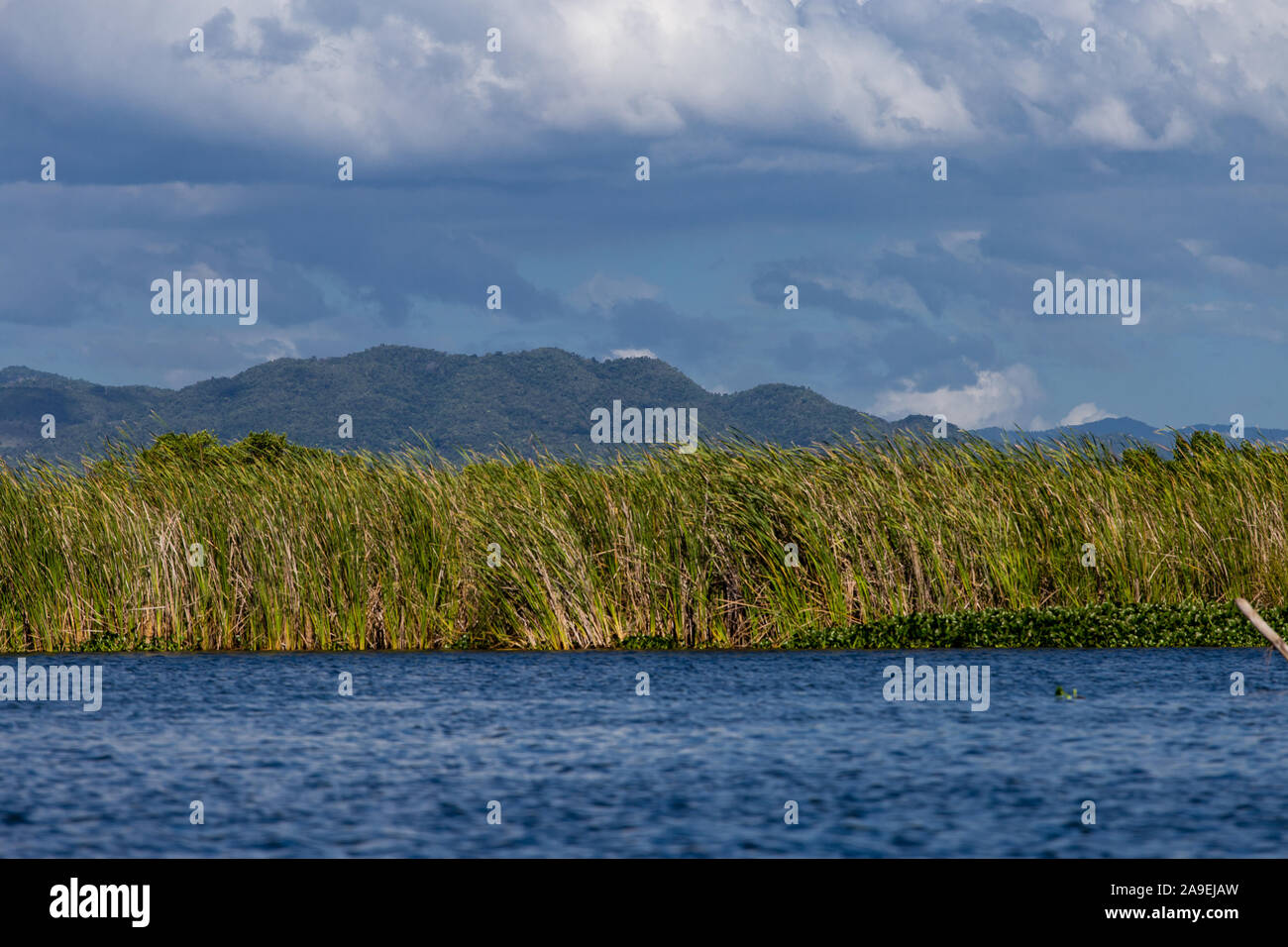 Black river jamaica hires stock photography and images Alamy
