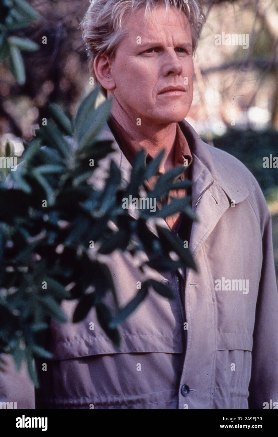 gary busey, haynes, 1997 Stock Photo Alamy