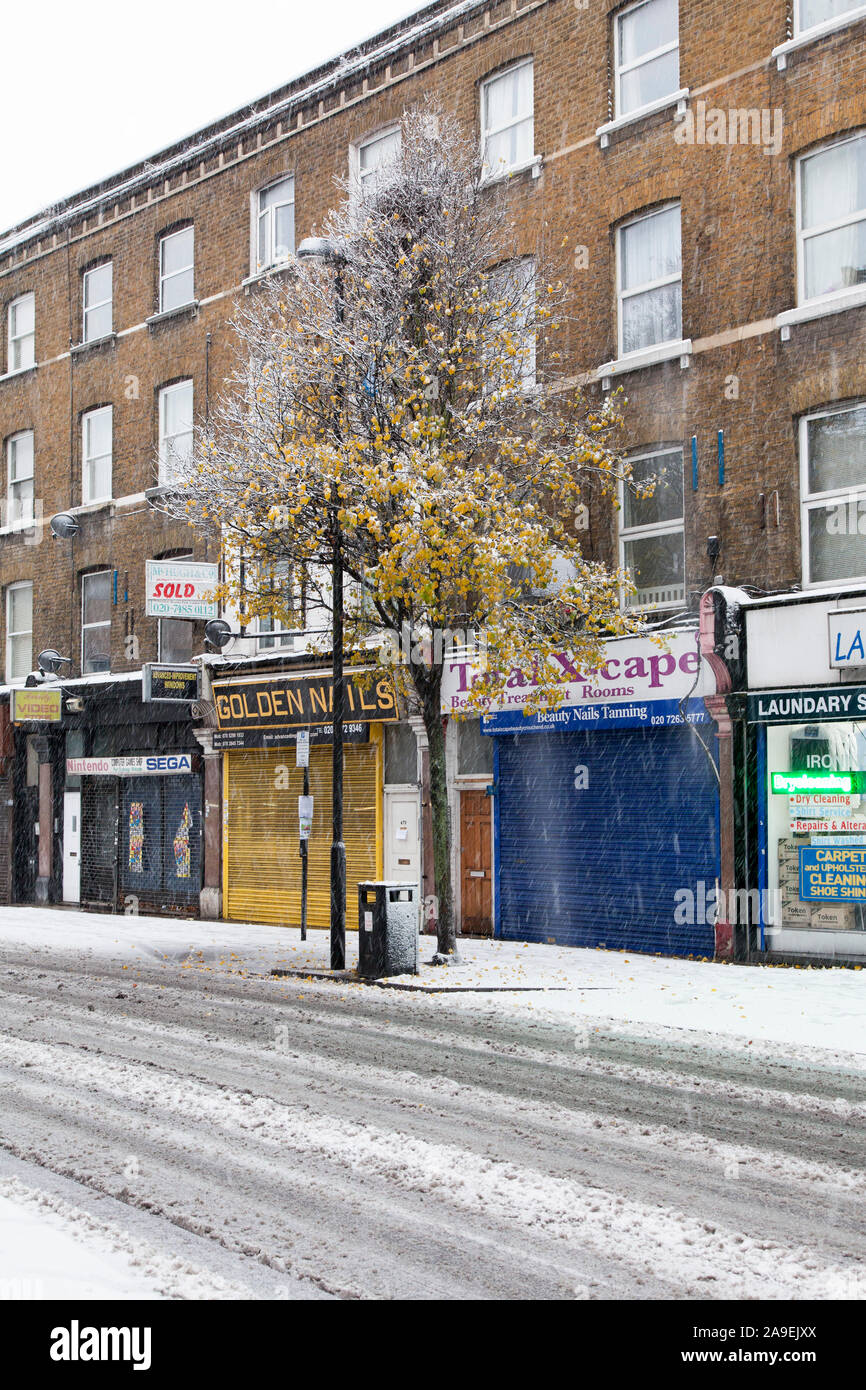 Chanticleer pear street tree (Pyrus calleryana 'Chanticleer) in the snow, Hornsey Road, London N19 Stock Photo