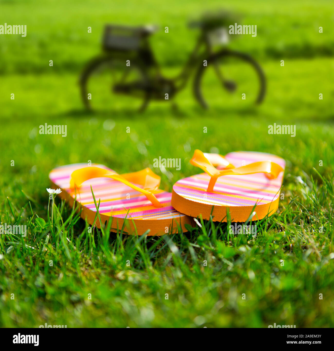 Flip flops in the bathroom Stock Photo Alamy
