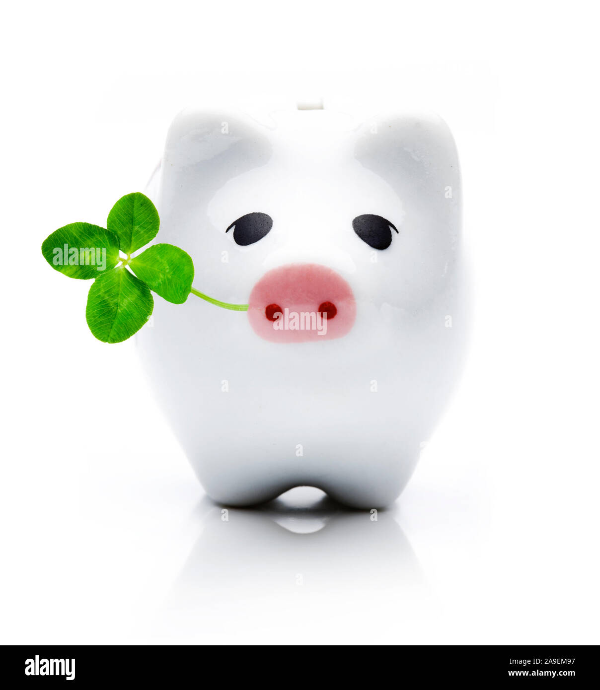 Lucky his pigs hires stock photography and images Alamy