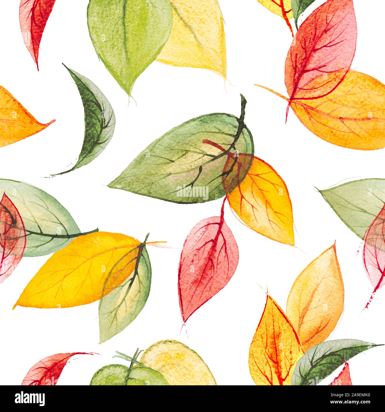 Watercolor sesamles print with autumn leaves Stock Photo