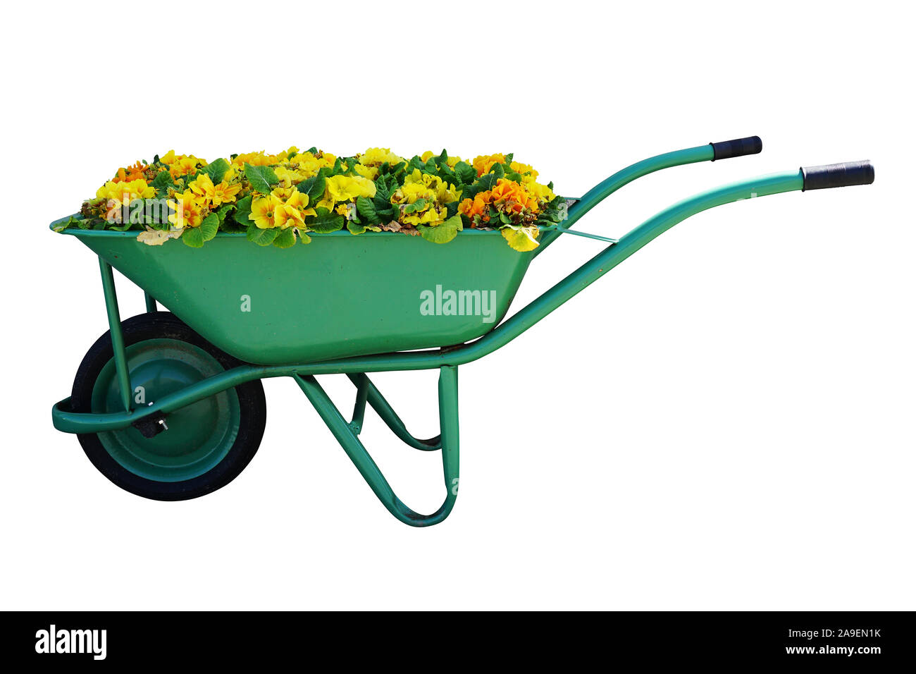Image of green garden cart overflowing with small yellow flowers