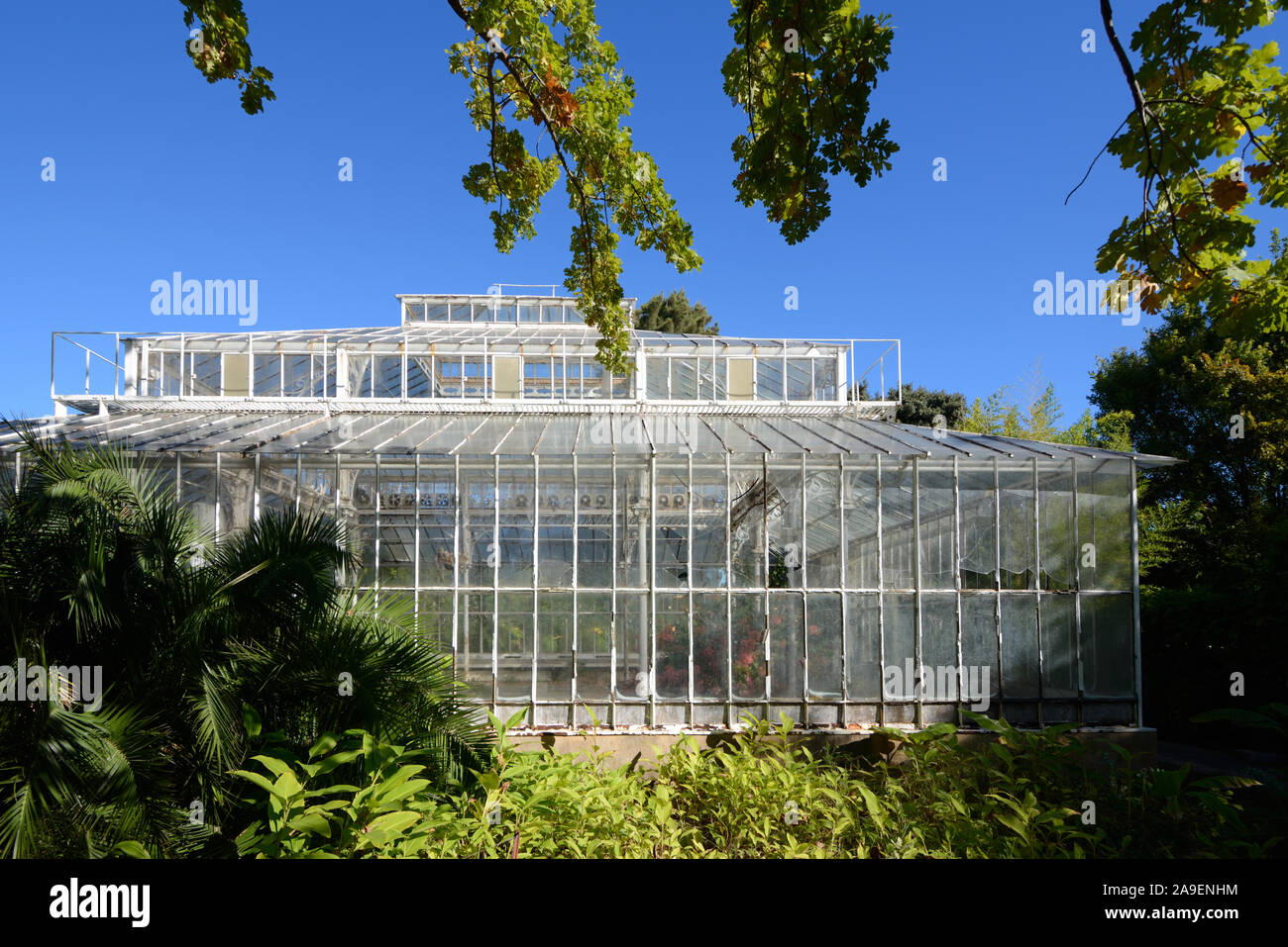 Botanical garden marseille hi-res stock photography and images - Alamy