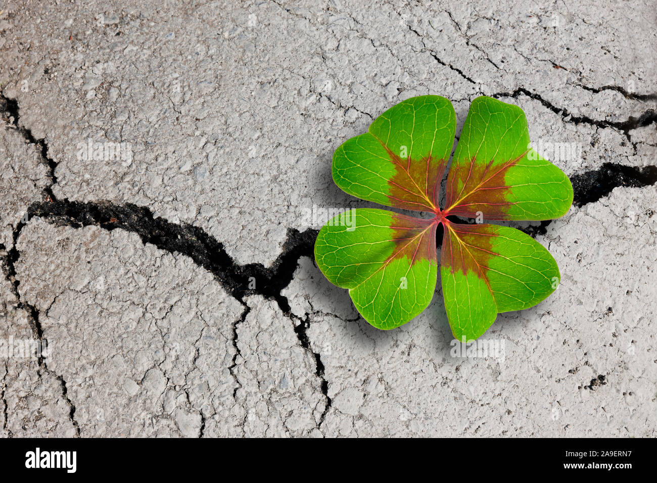 Shamrock of asphalt Stock Photo