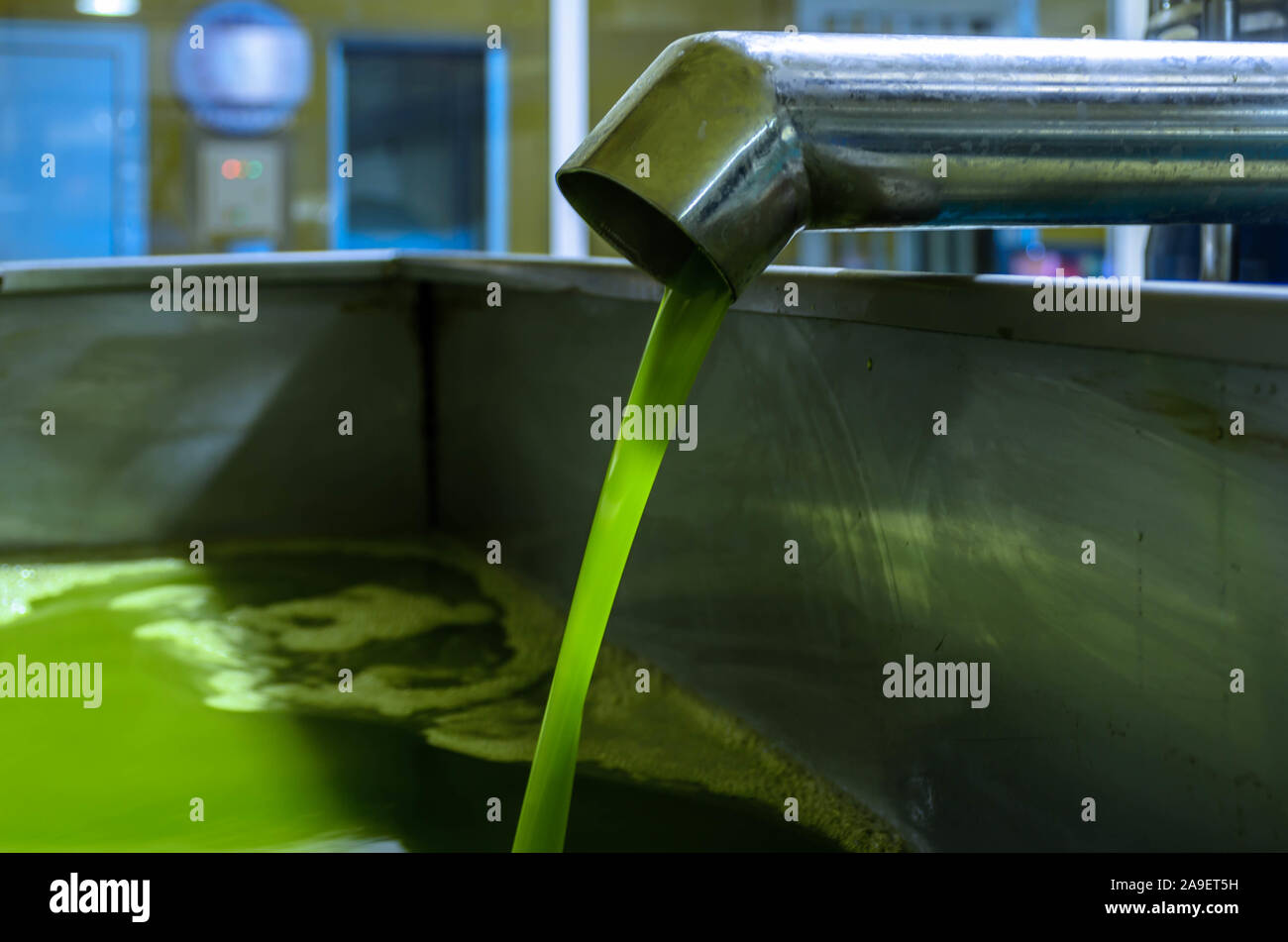 Freshly pressed extra virgin olive oil pouring into a tank of an industrial olive oil factory. Stock Photo