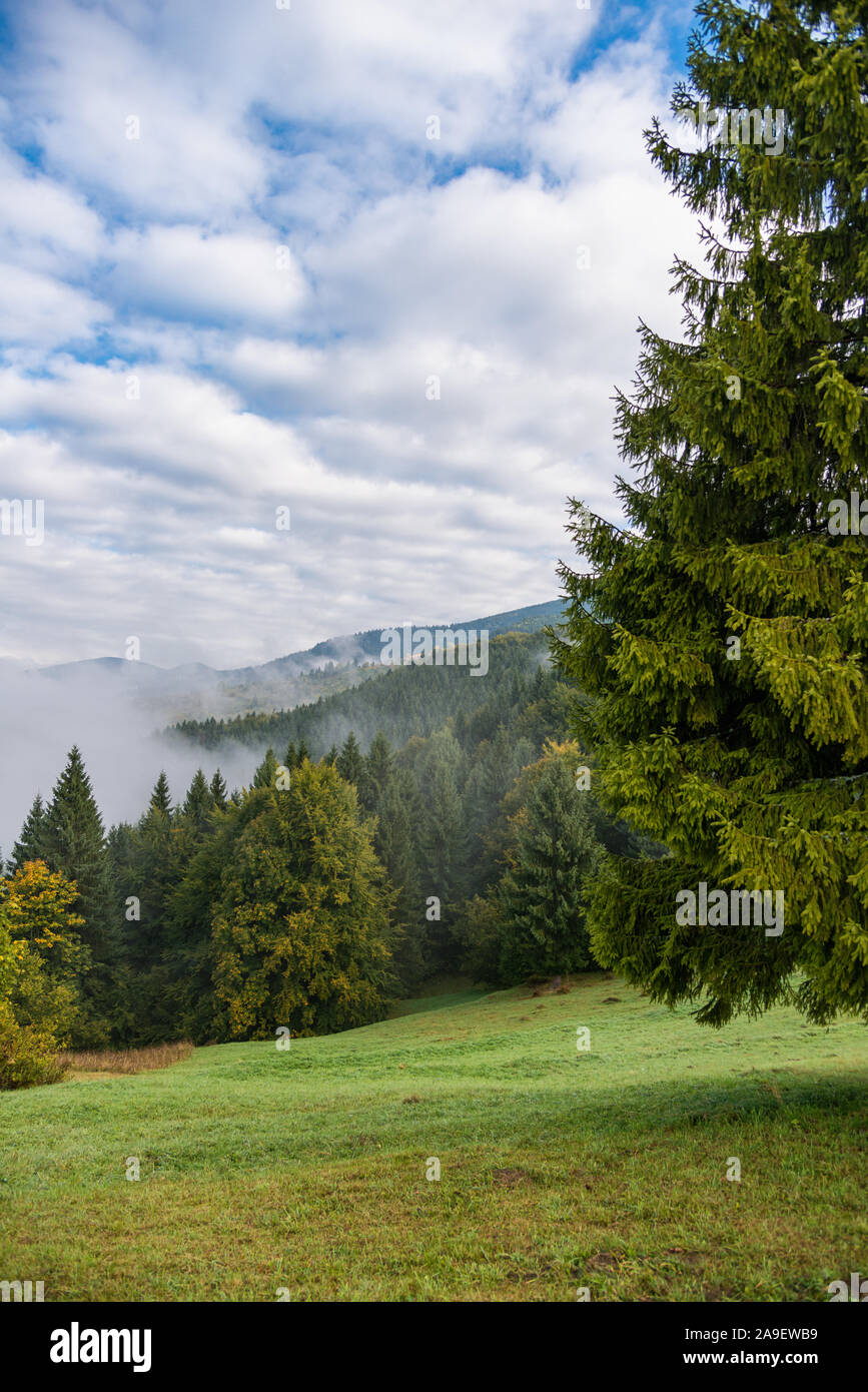 Tourism in the carpathians hi-res stock photography and images - Alamy