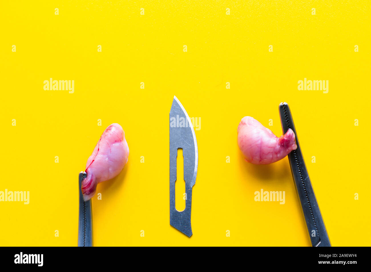 Balls testicles hires stock photography and images Alamy