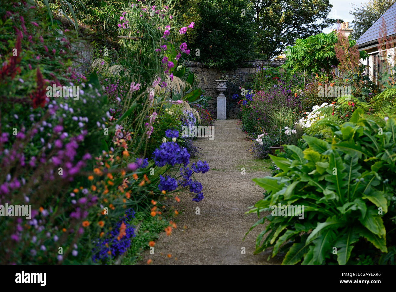 Helen dillon garden dublin hires stock photography and images Alamy