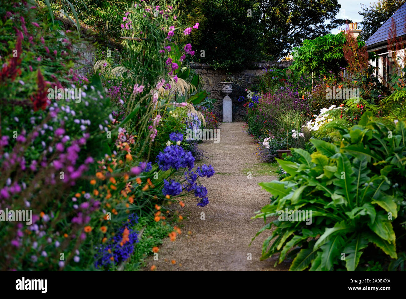 The Dillon Garden,Helen Dillon,Dun Mhuire,Double Herbaceous Border,lush