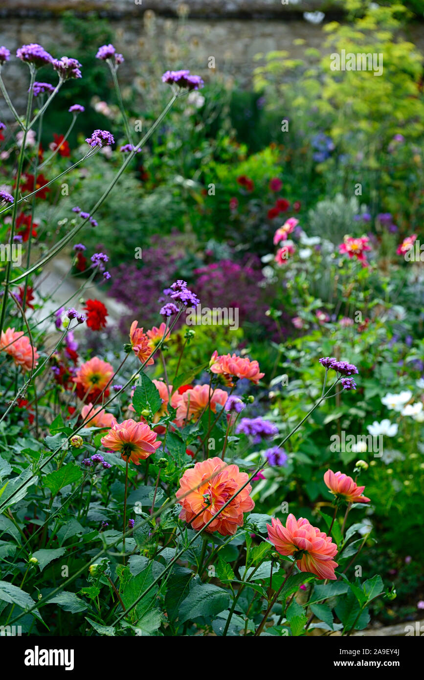 The Dillon Garden, Helen Dillon, Plantswoman,Dun Mhuire,Seafield Ave