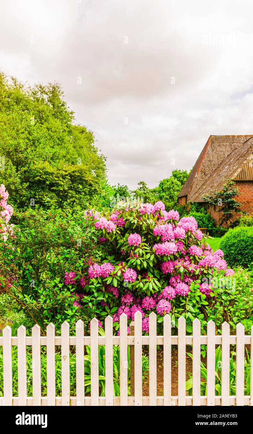 Archival flower garden hi-res stock photography and images - Alamy