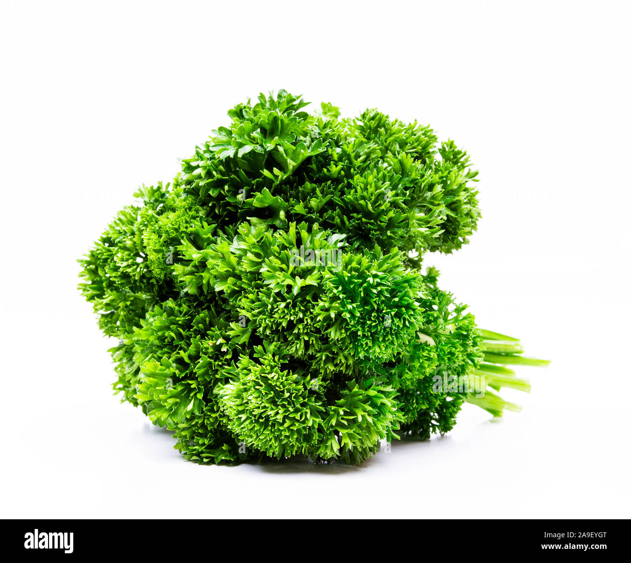 parsley Stock Photo