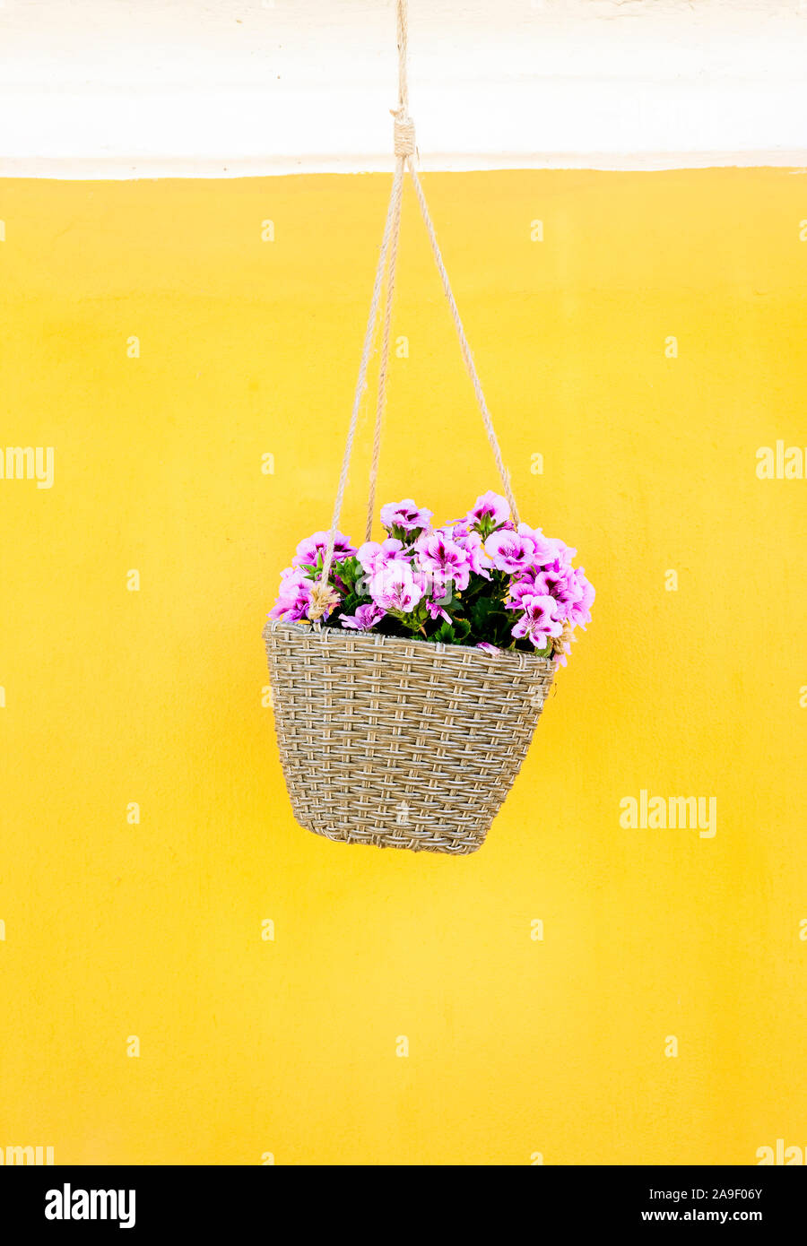 Hanging Basket Stock Photo
