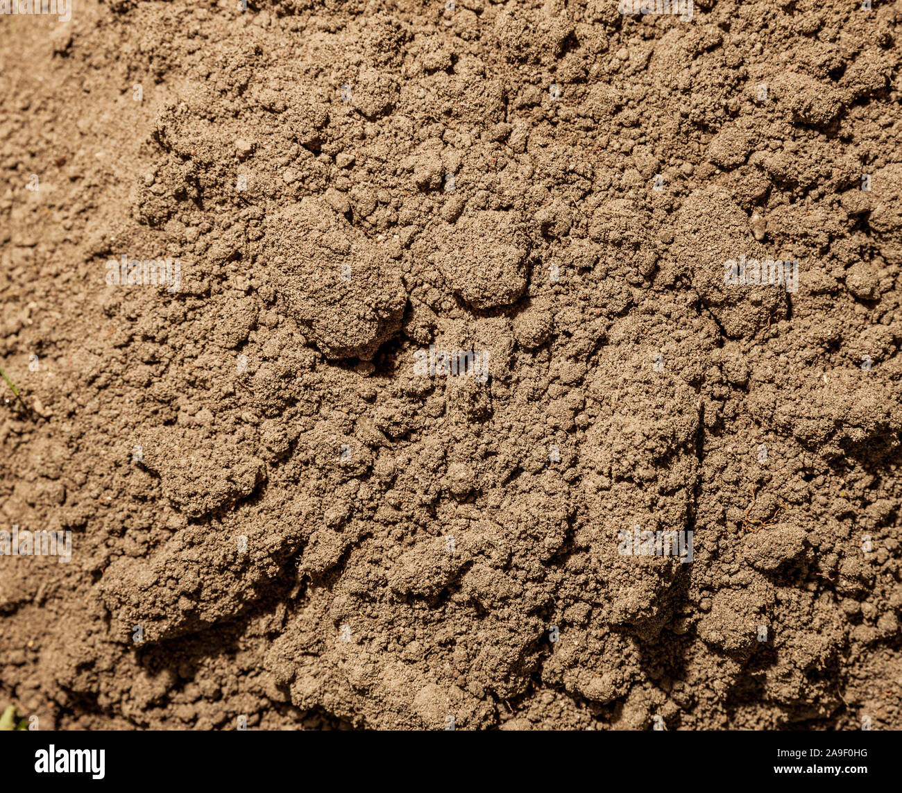 Grounds ground field hi-res stock photography and images - Alamy