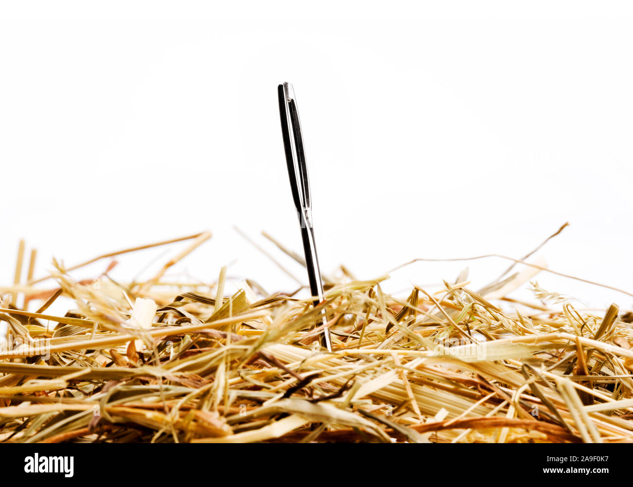 needle in a haystack Stock Photo Alamy