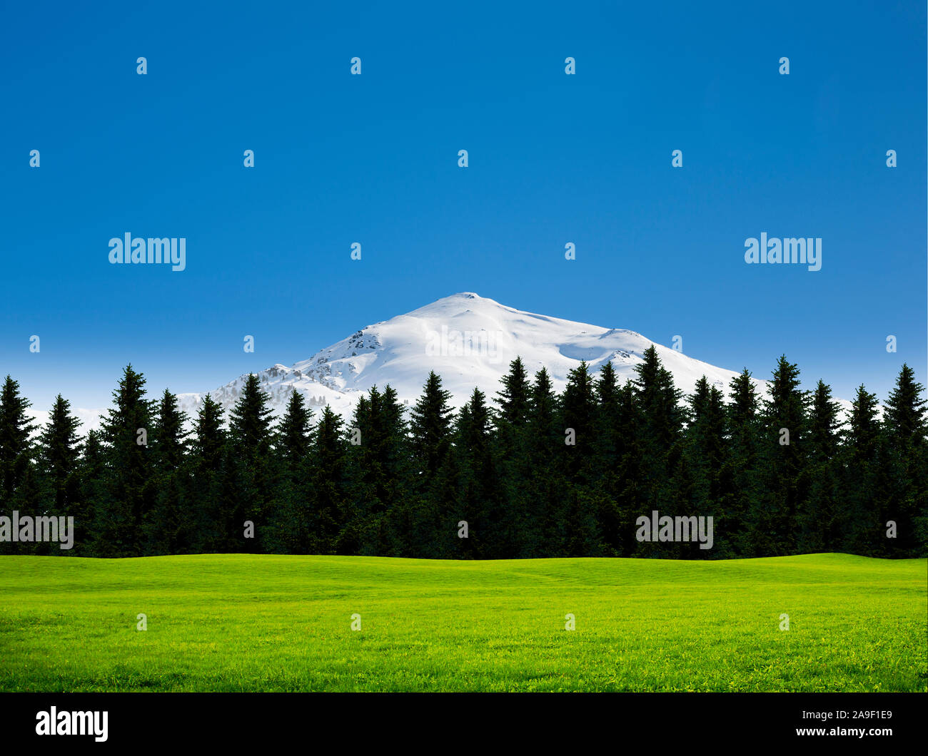 Snow peaks, forest and meadow Stock Photo