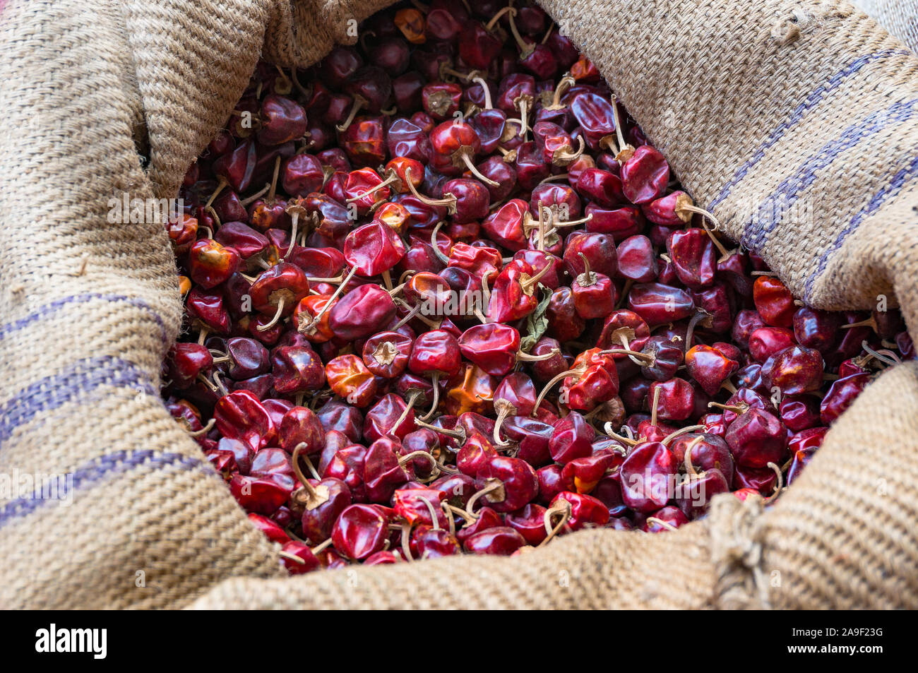 Dry chilli peppers on the market. Spicy asian food Stock Photo