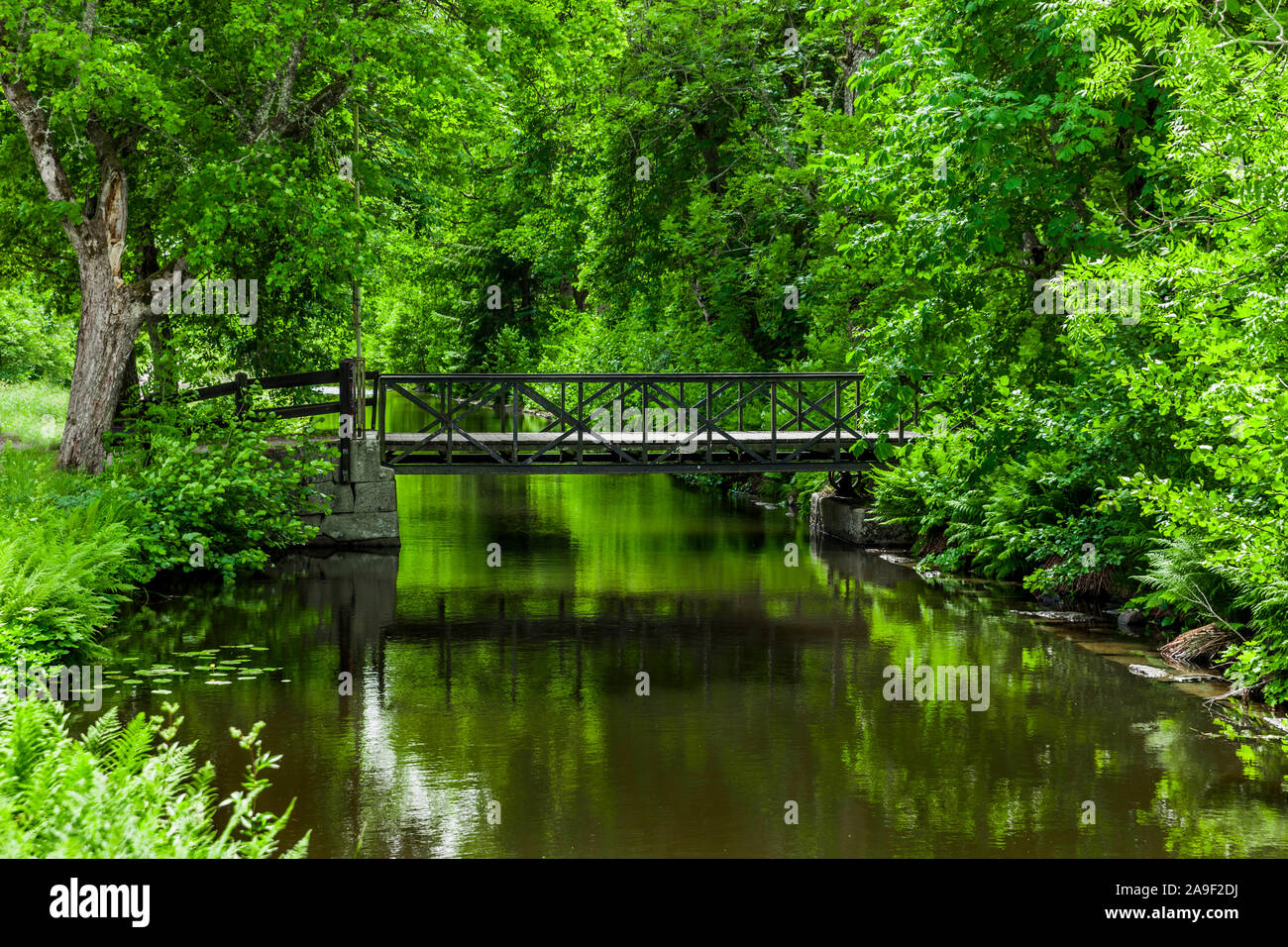 Bridge in the park Stock Photo