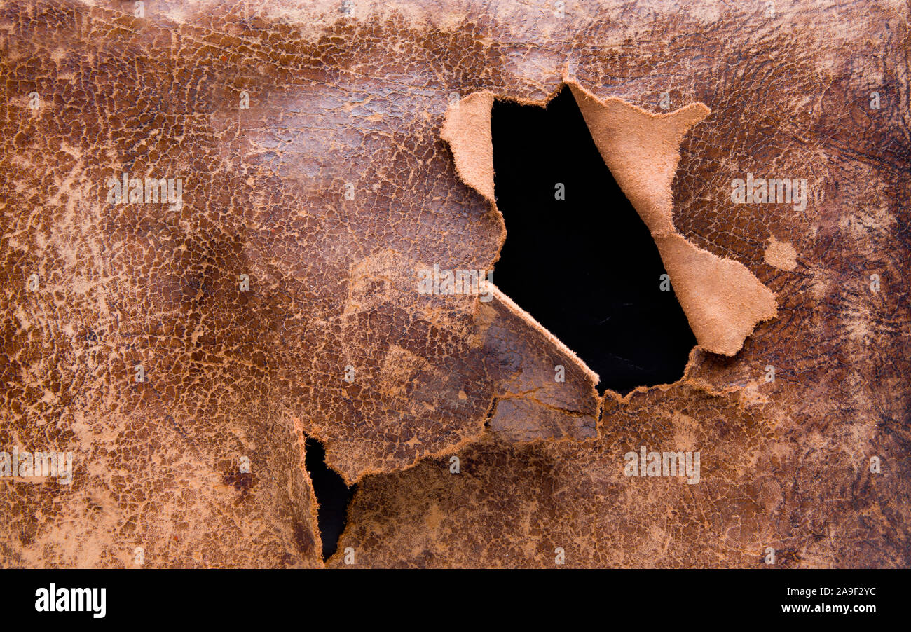 Hole in the leather Stock Photo Alamy