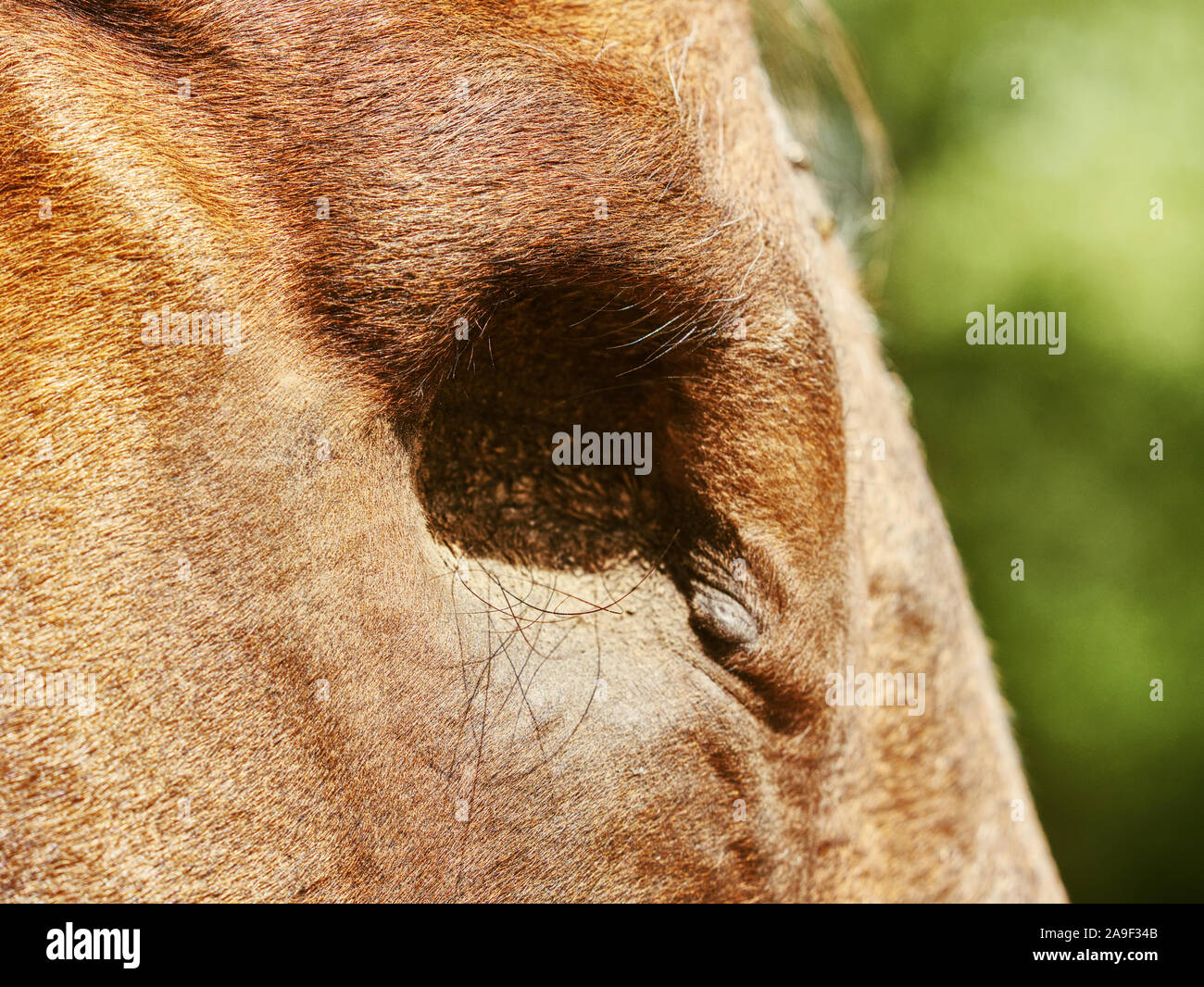 Color Blindness High Resolution Stock Photography and Images Alamy