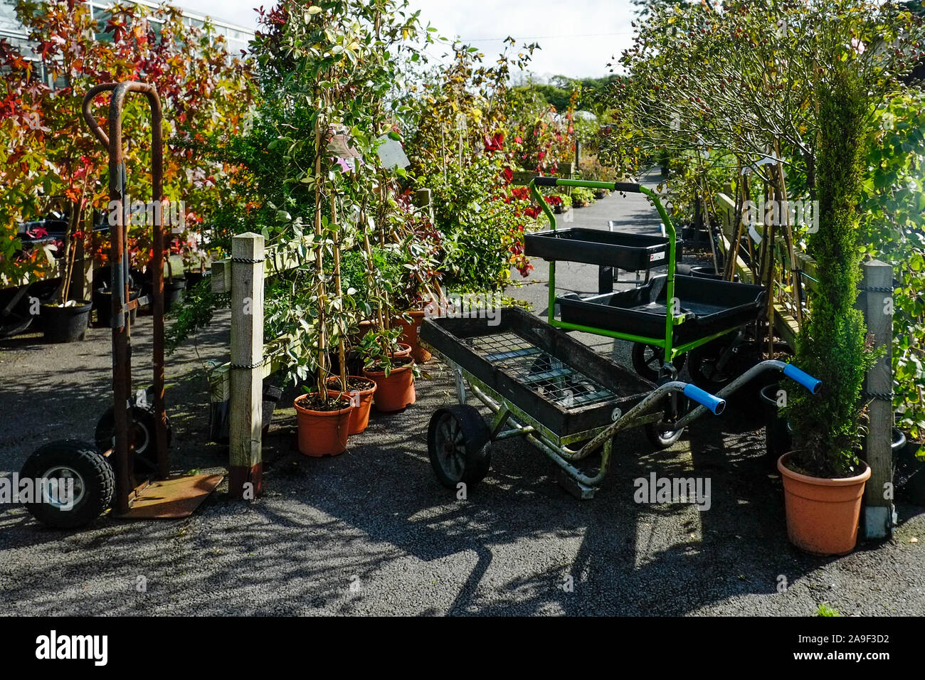 Trolleys in a garden nursery centre. Stock Photo