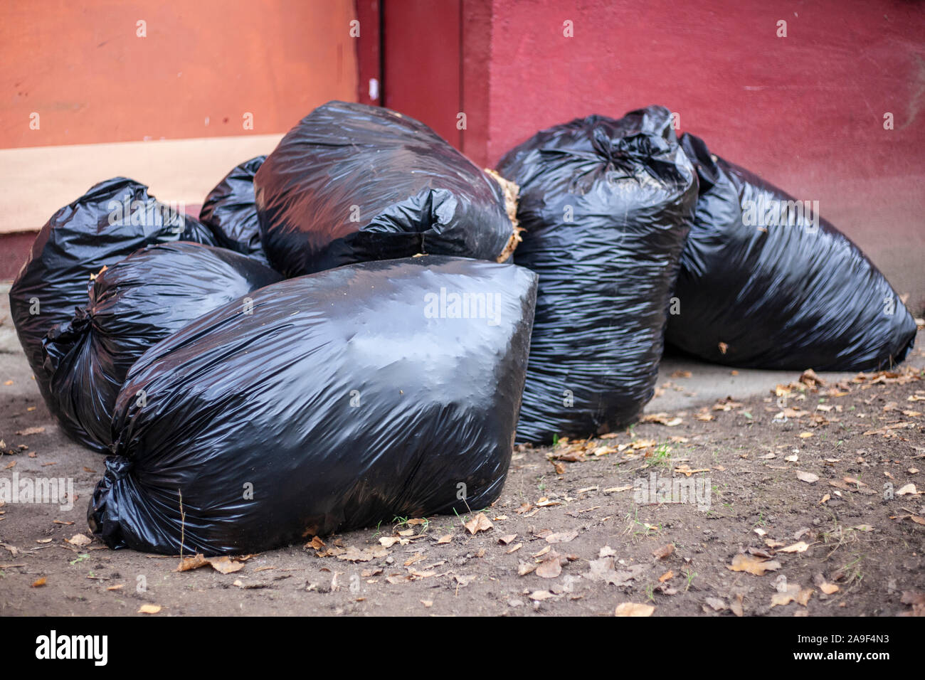 Plastic black bags with household waste. Cleaning the area from garbage. The work of utilities to collect garbage in bags. Heavy black bags. Stock Photo