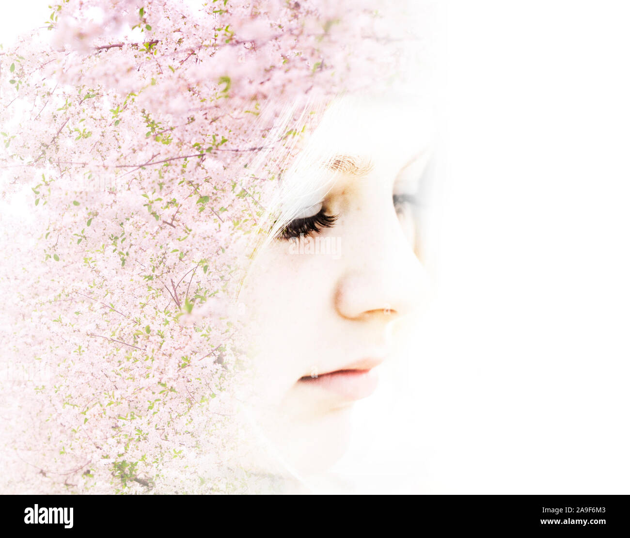 Double exposure, girl portrait with flowers Stock Photo