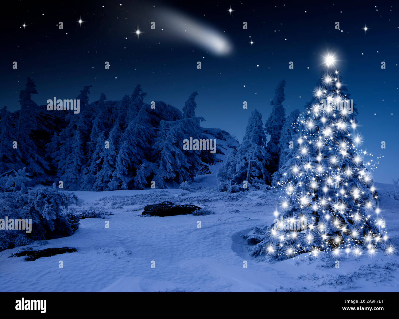 Brightly lit Christmas tree in the forest Stock Photo Alamy