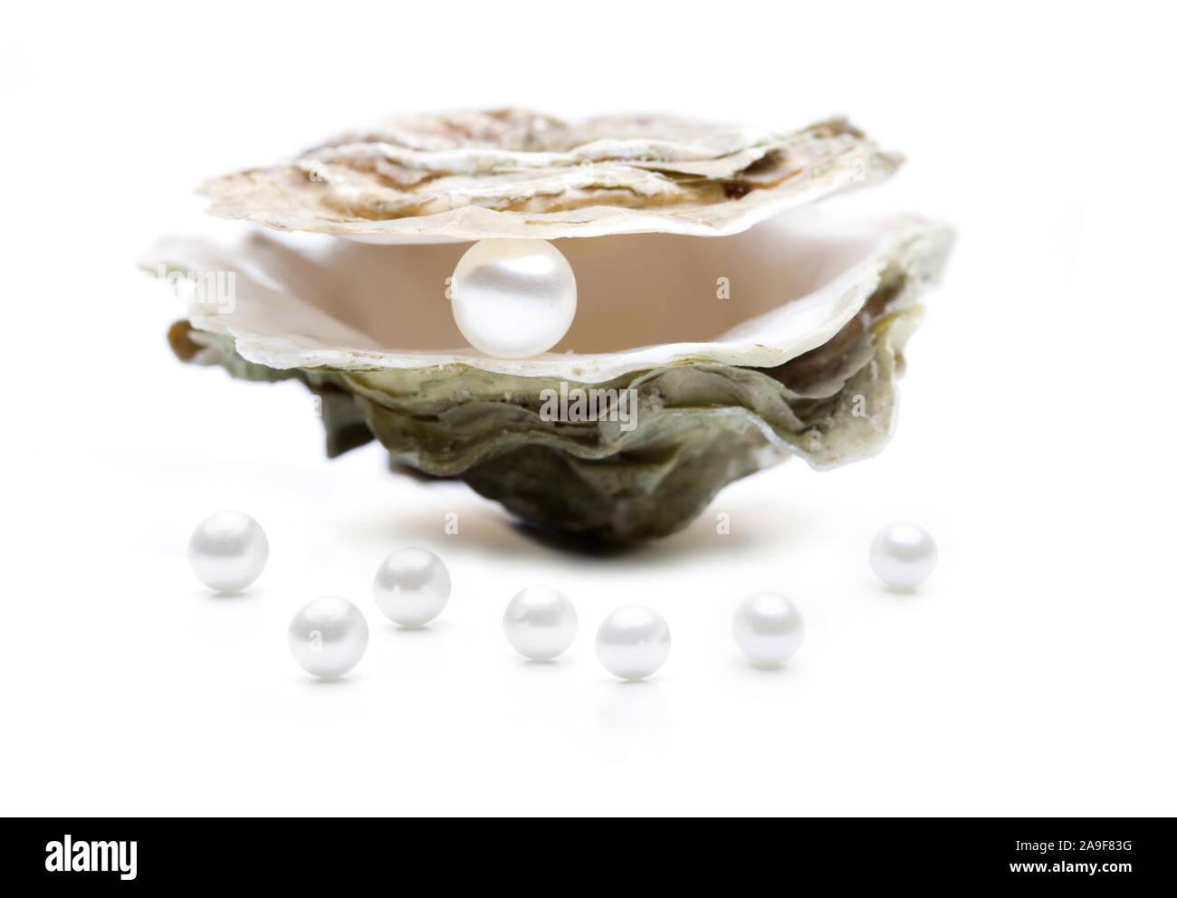 Oyster with pearls Stock Photo Alamy