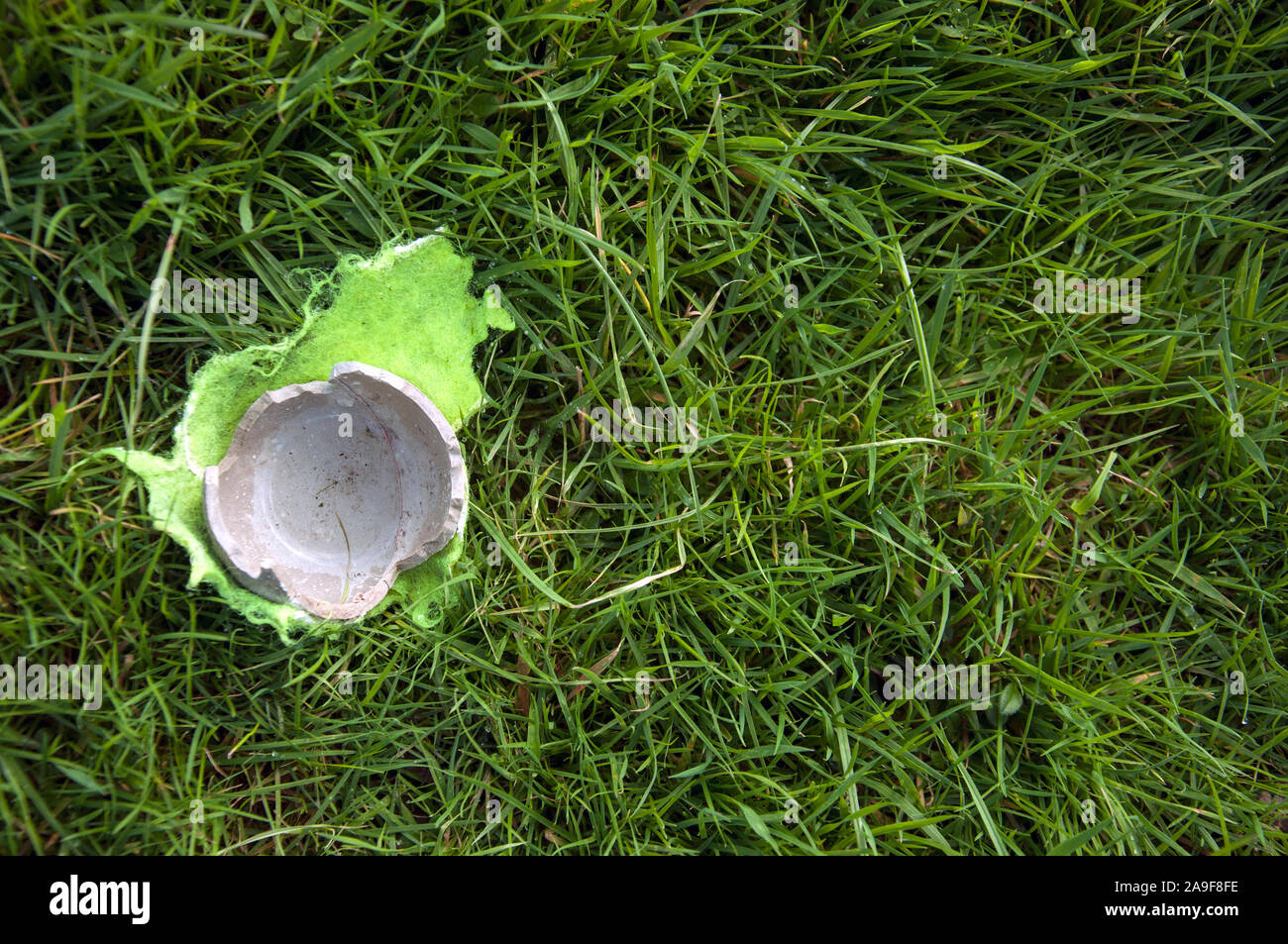 A broken tennis ball on the grass. Stock Photo