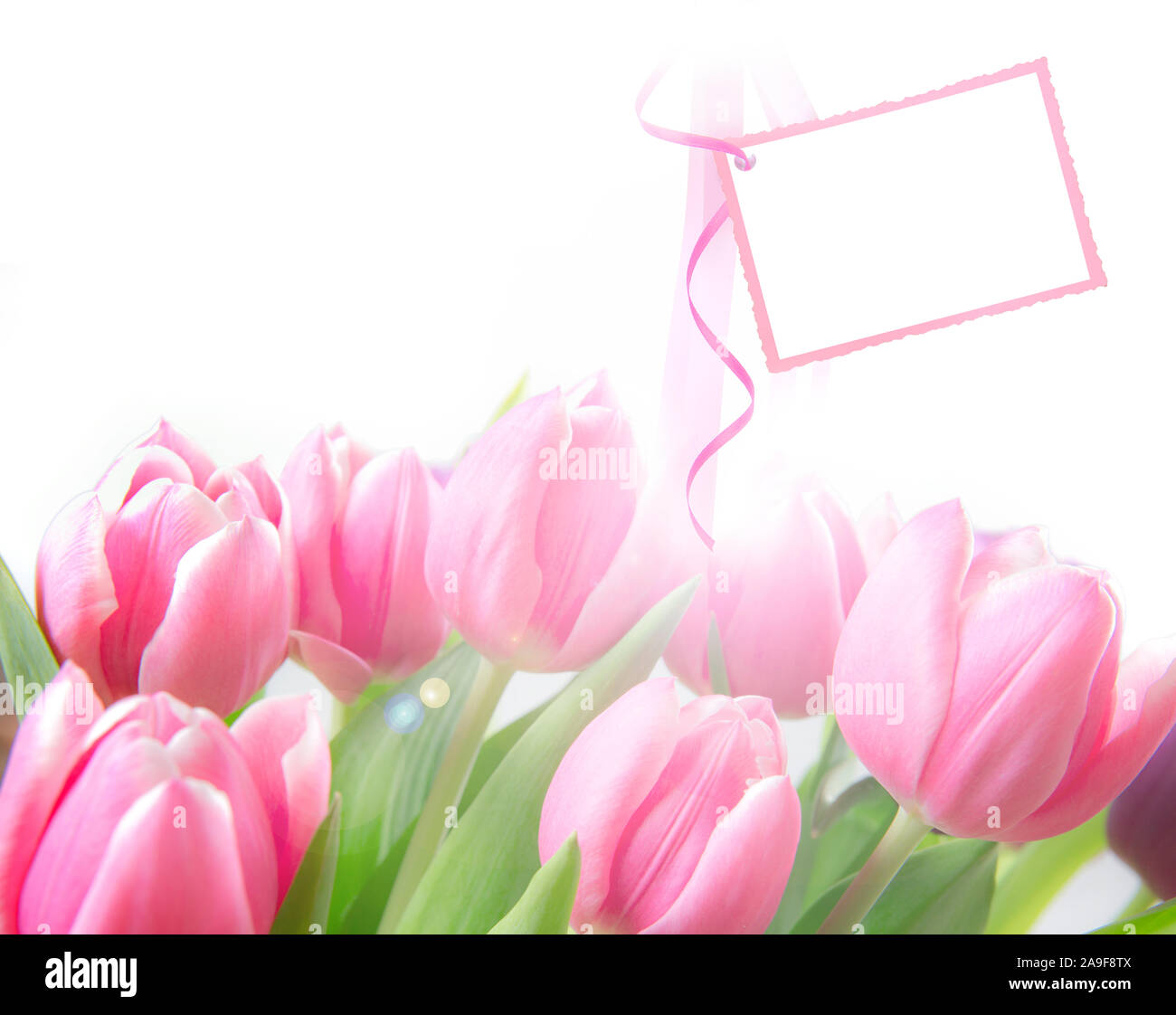 Birthday card with pink tulips Stock Photo - Alamy