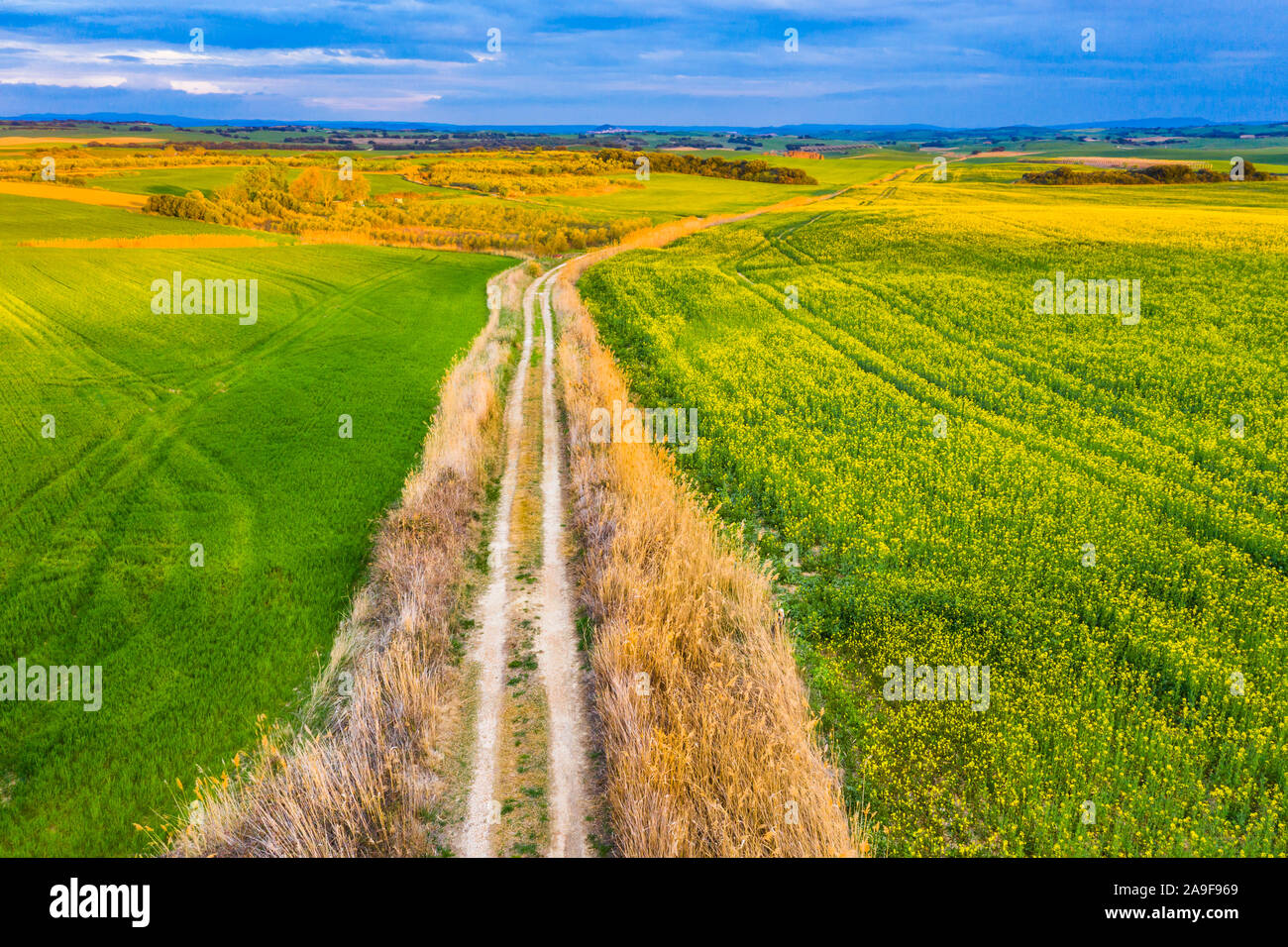 Agricultural aerial landscape. Stock Photo