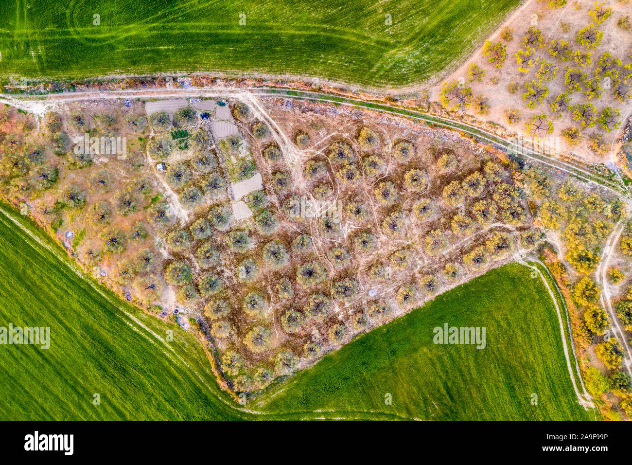 Agricultural aerial landscape. Stock Photo