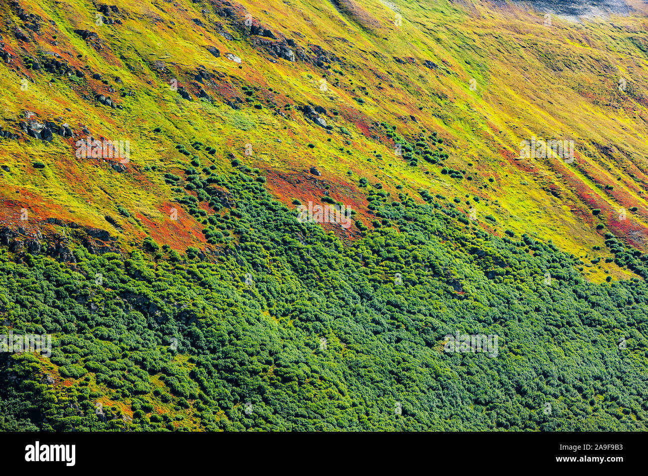 Autumn color in the mountains Stock Photo