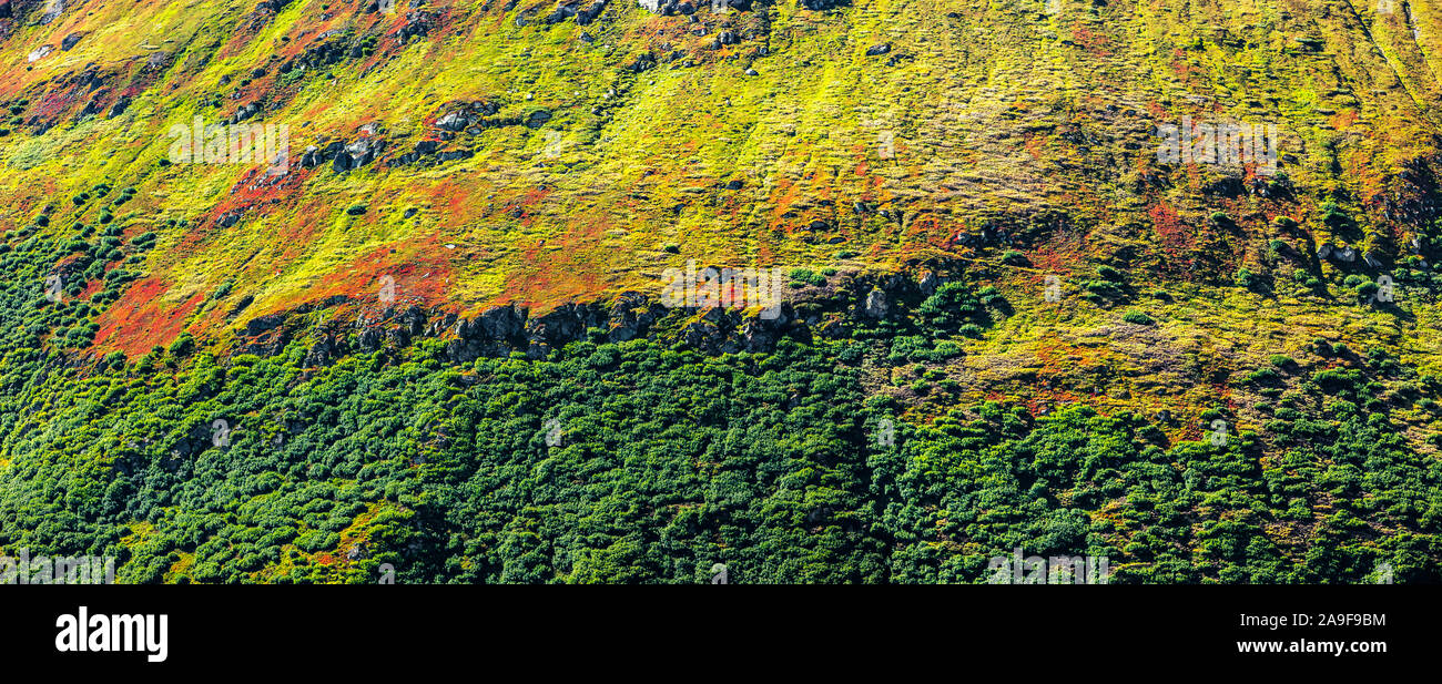 Autumn color in the mountains Stock Photo