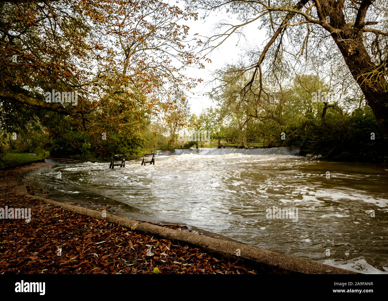 The weir at Parson's Pleasure, Oxford University Parks Stock Photo