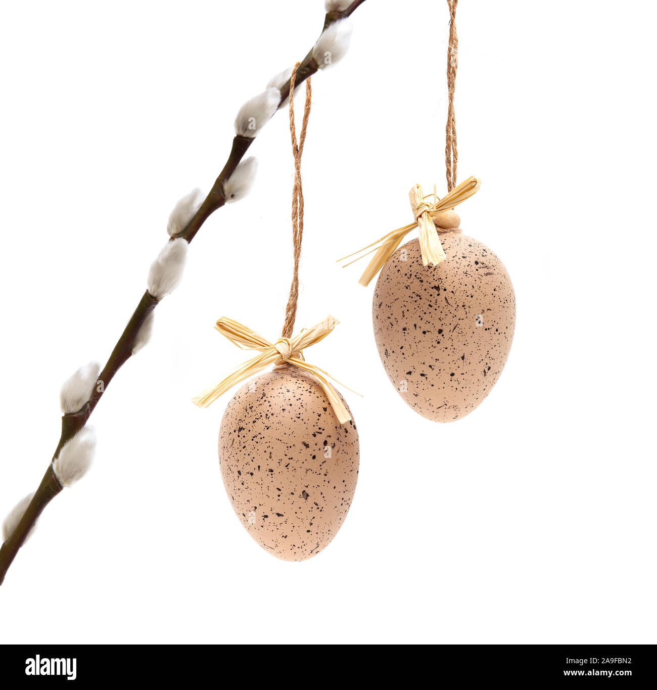 Easter eggs on the palm branch Stock Photo