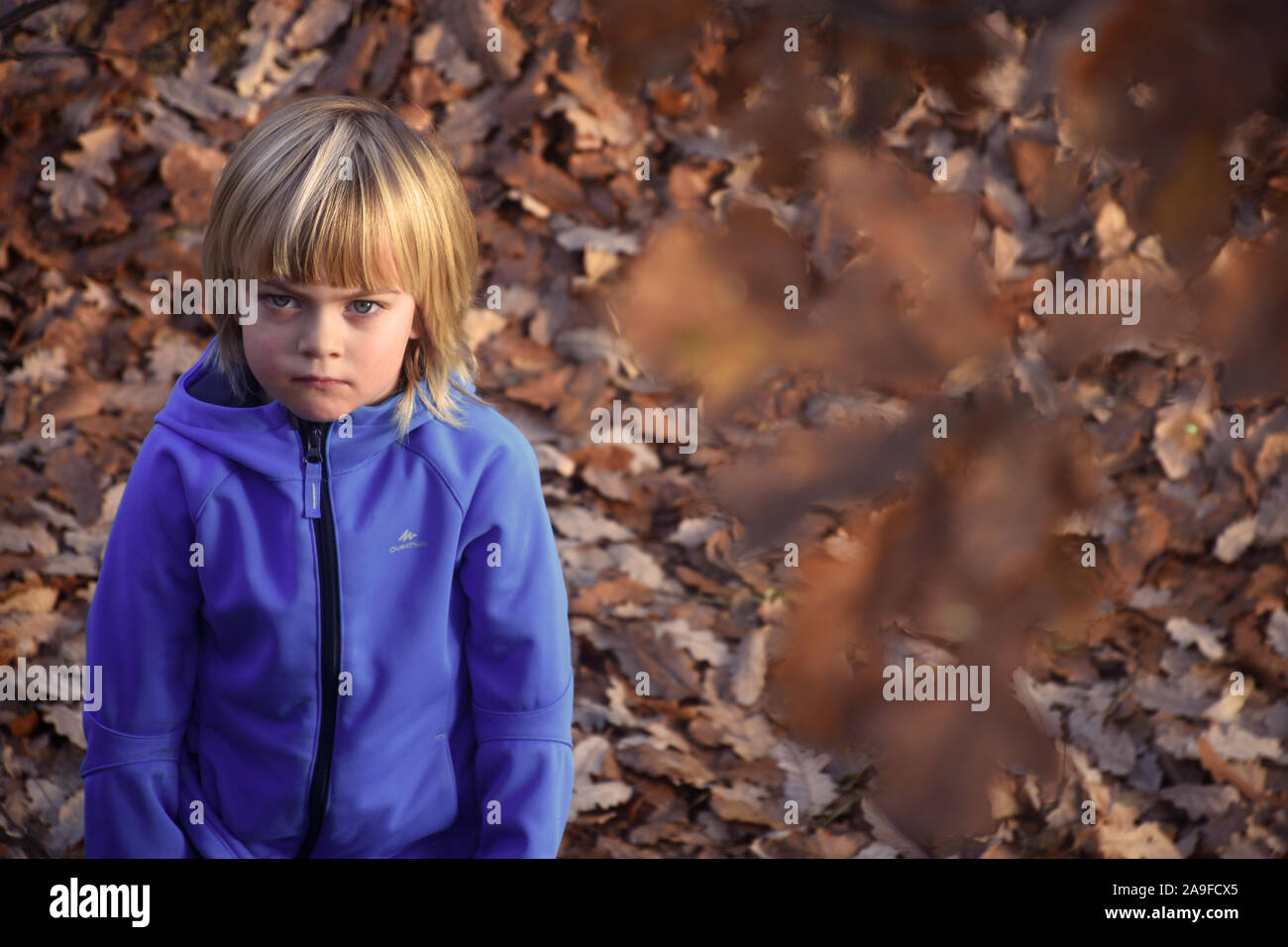 Boy with long hair blonde hi-res stock photography and images - Alamy