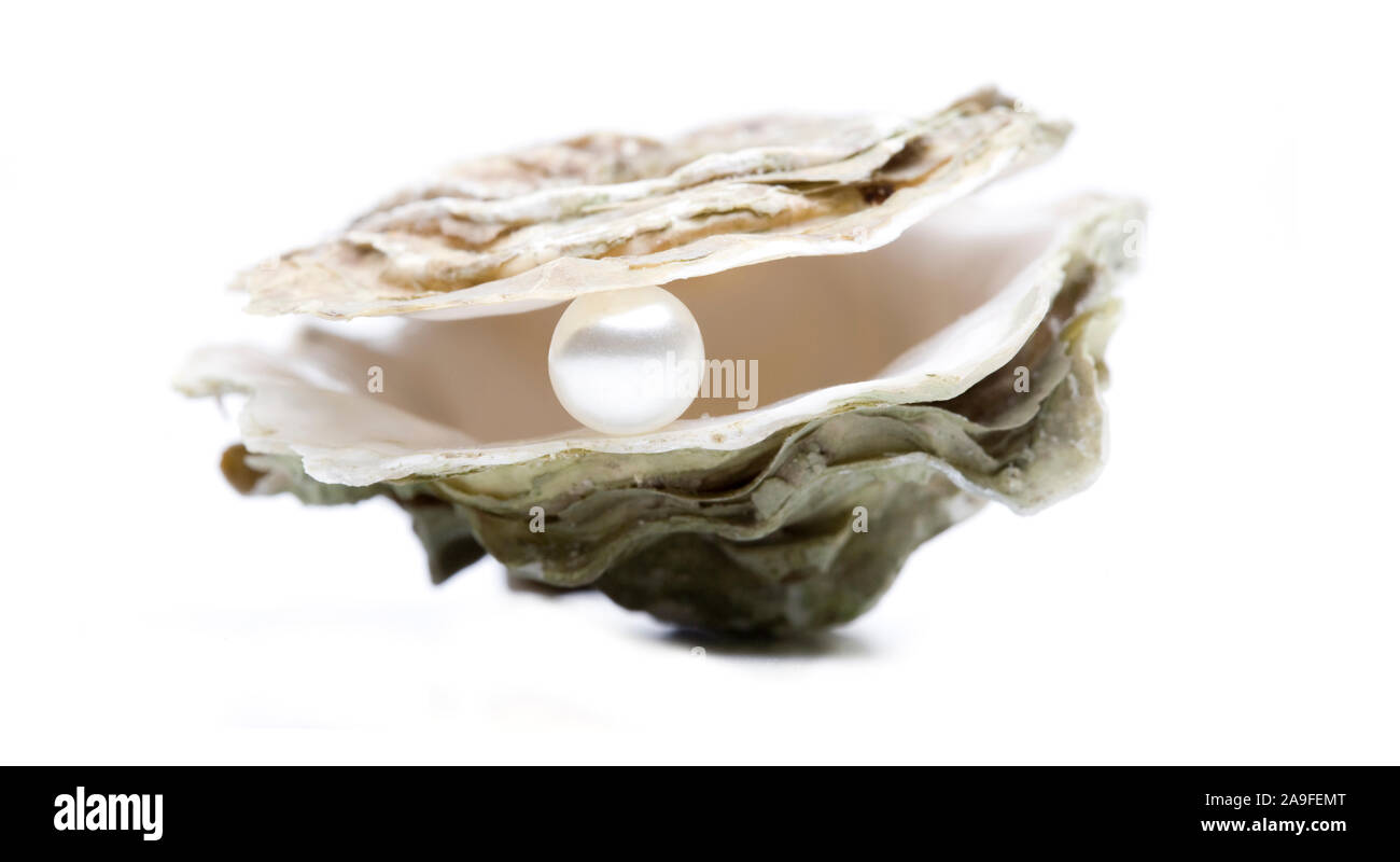 Oyster with pearl Stock Photo Alamy