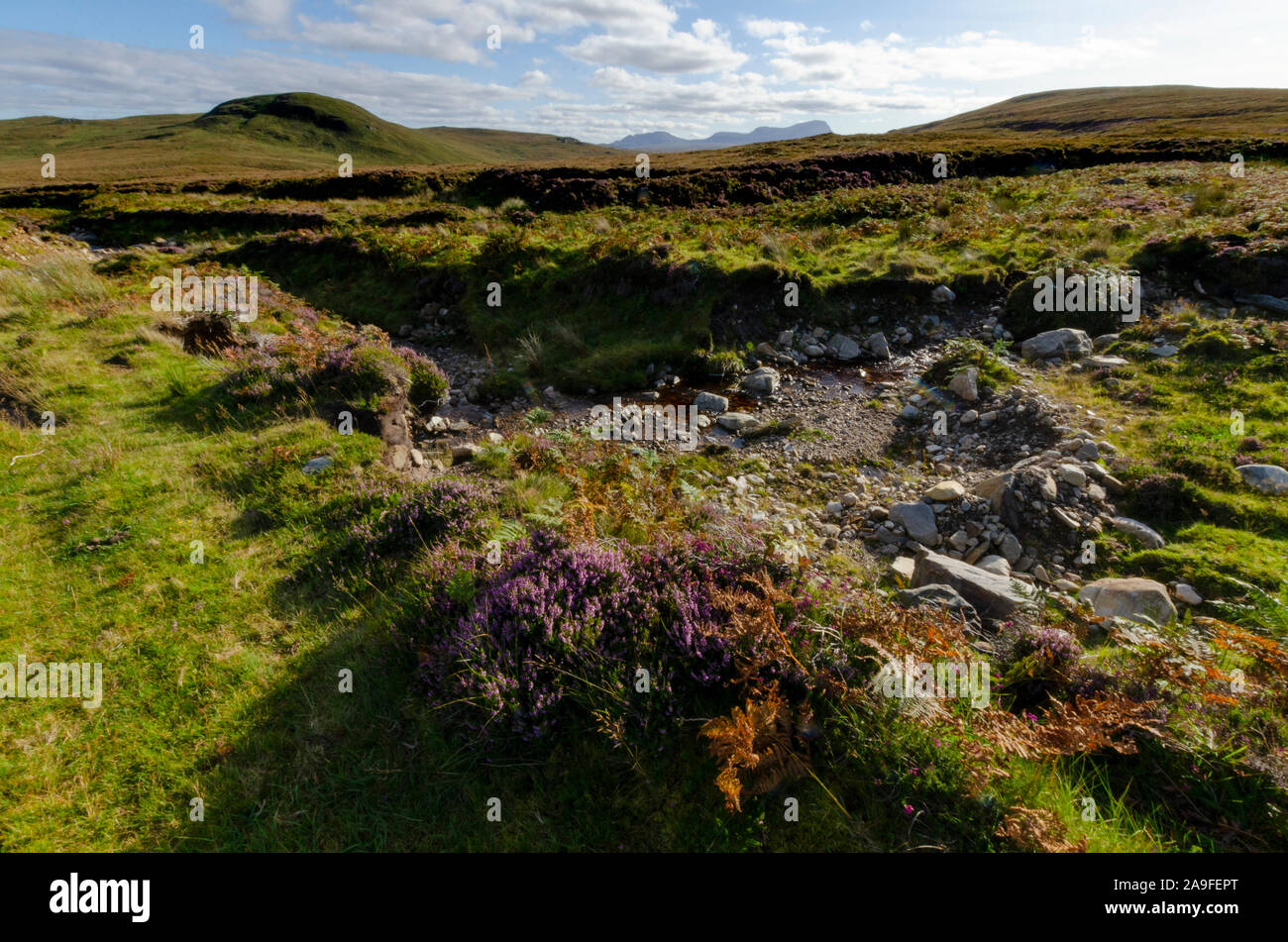 Landscape on the A'Mhoine Peninsula Sutherland Scotland UK Stock Photo