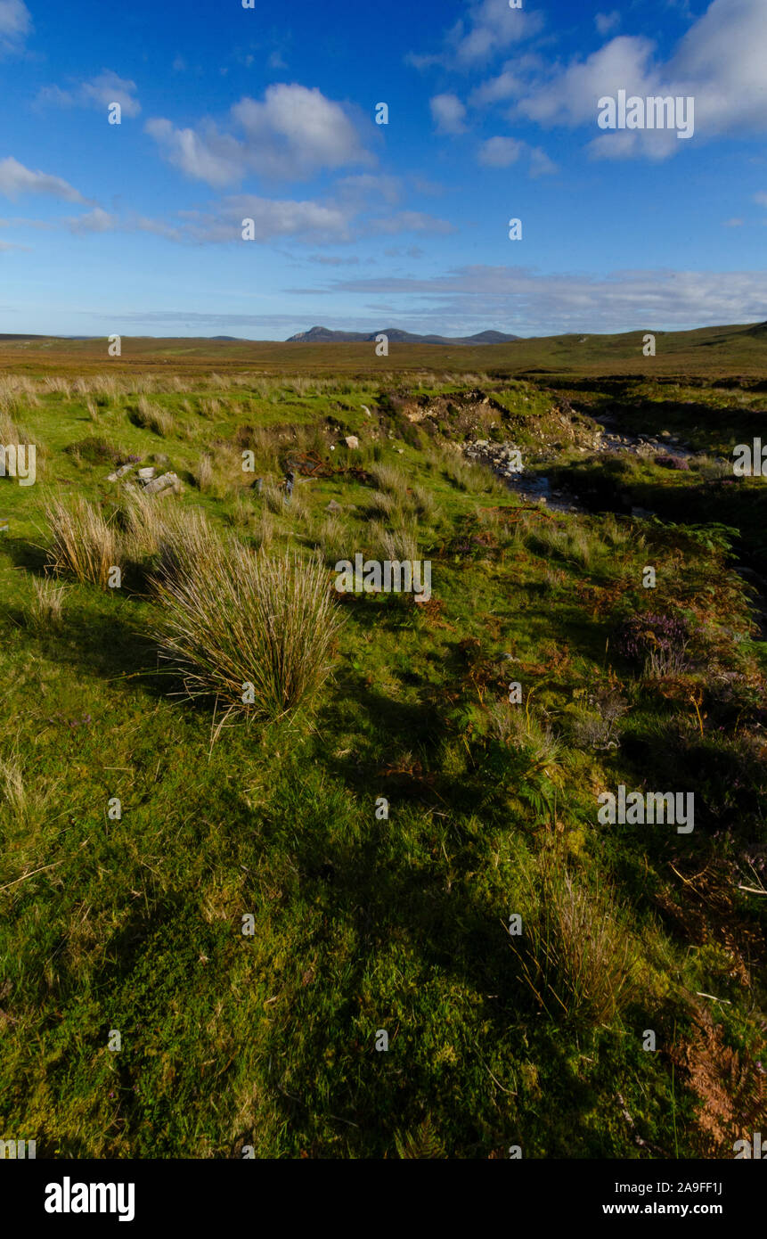 Landscape on the A'Mhoine Peninsula Sutherland Scotland UK Stock Photo
