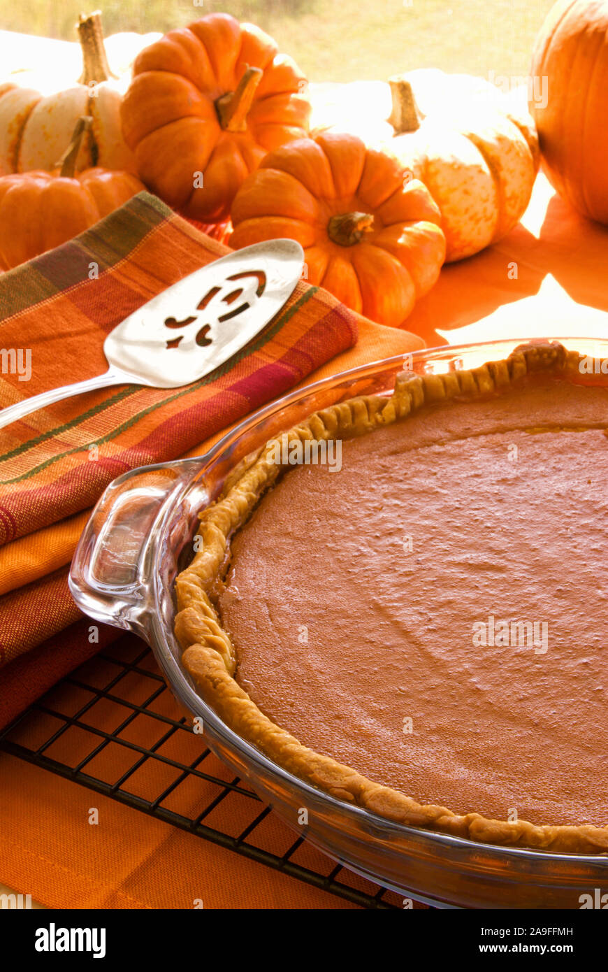 Fresh homemade pumpkin pie in a transparent glass pie pan with pumpkins and Thanksgiving holiday colored napkins in the naturally lit background. Stock Photo