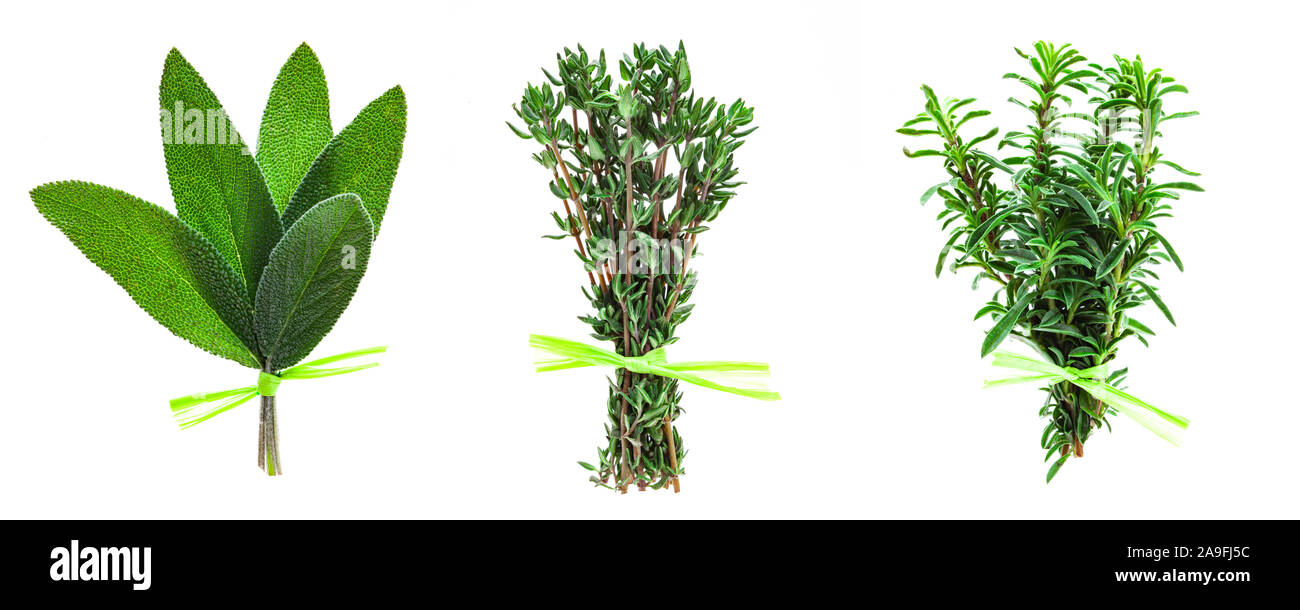 Three herbs bunch on white background Stock Photo Alamy