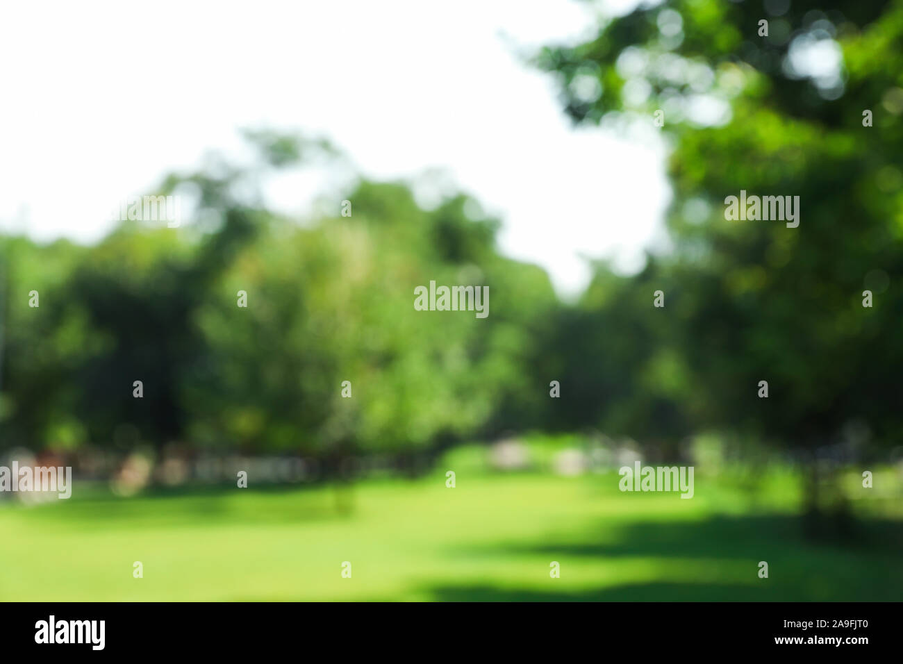 Blurred background of green summer park, space for text Stock Photo - Alamy