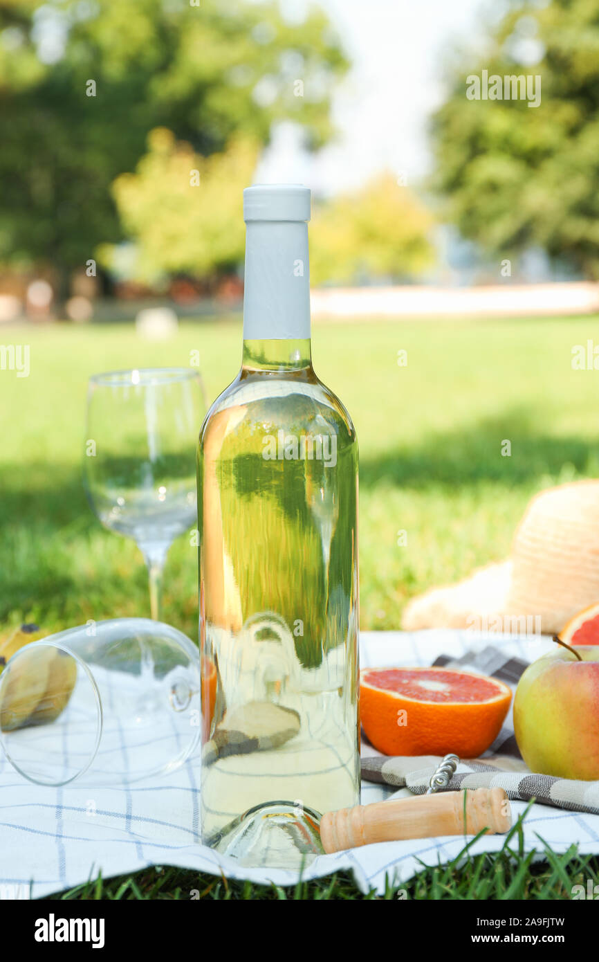 Picnic composition with wine and food against green grass, space for