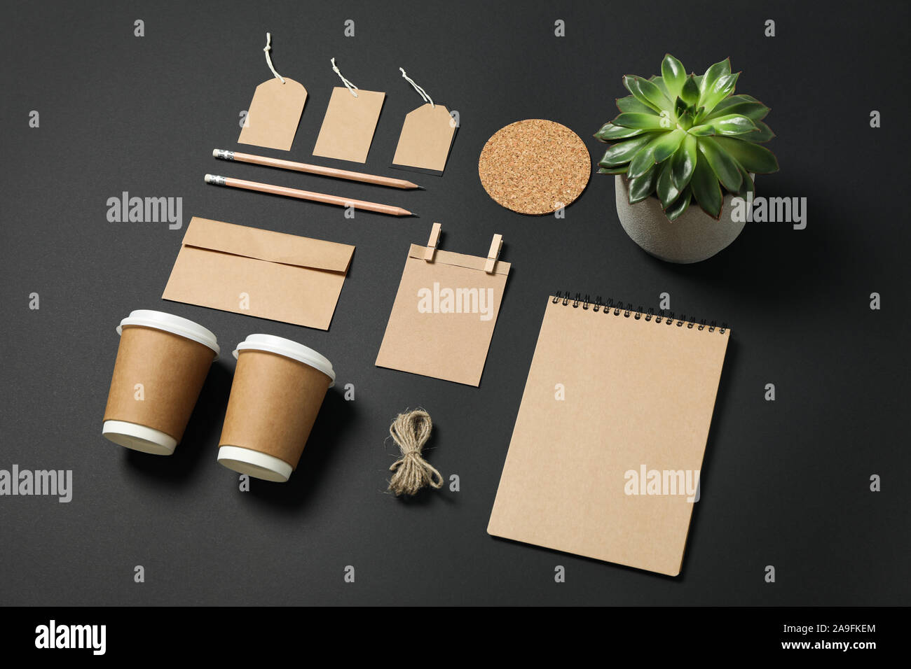 Download Composition With Blank Stationery And Succulent On Black Background Mockup Stock Photo Alamy