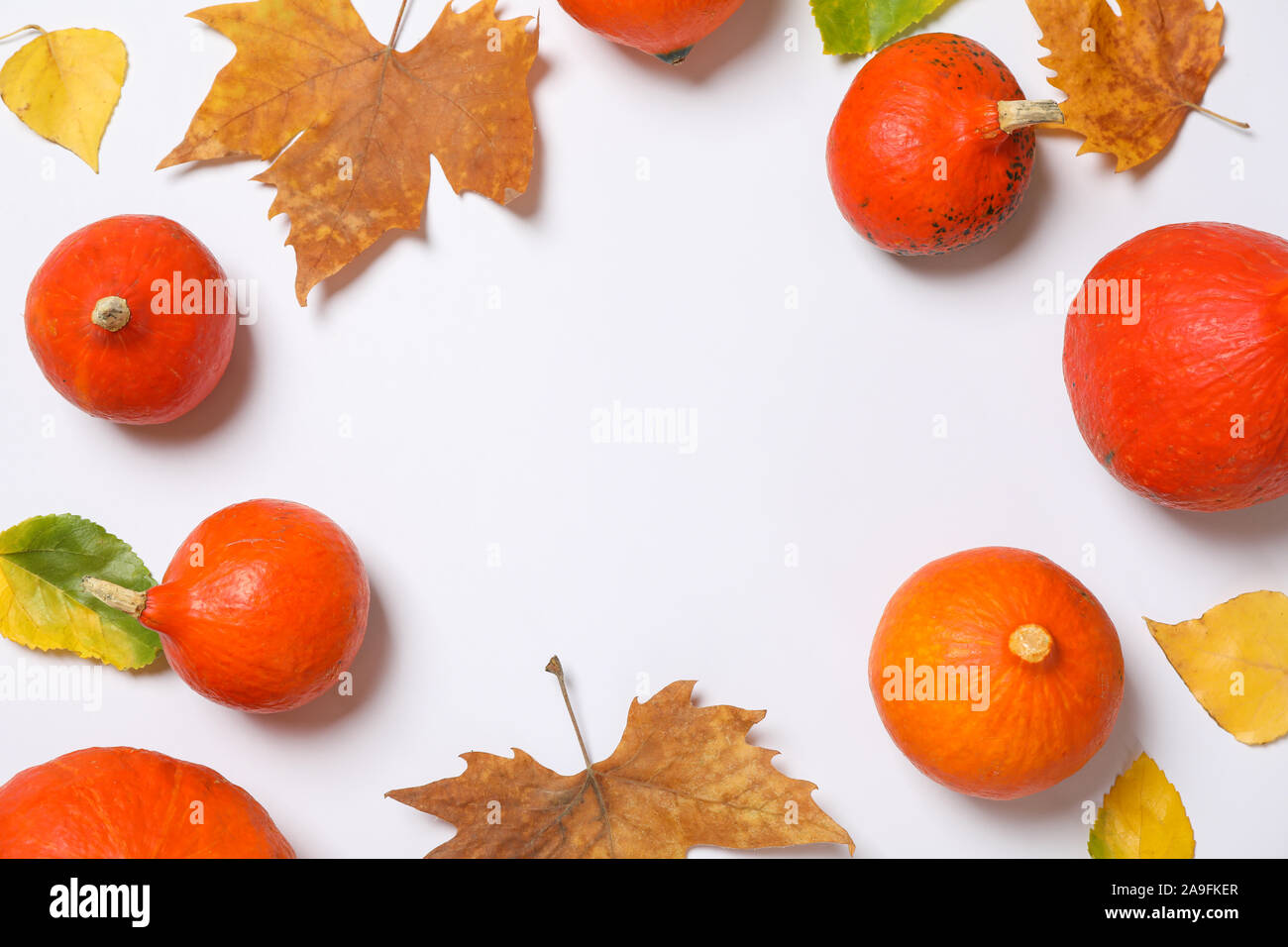 Pumpkins and leaves on white background, space for text Stock Photo - Alamy