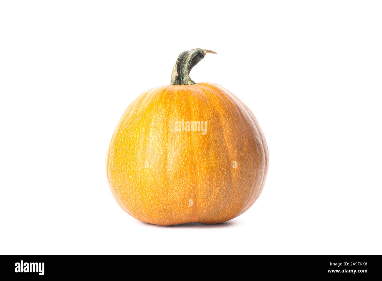 Fresh orange pumpkin isolated on white background Stock Photo - Alamy