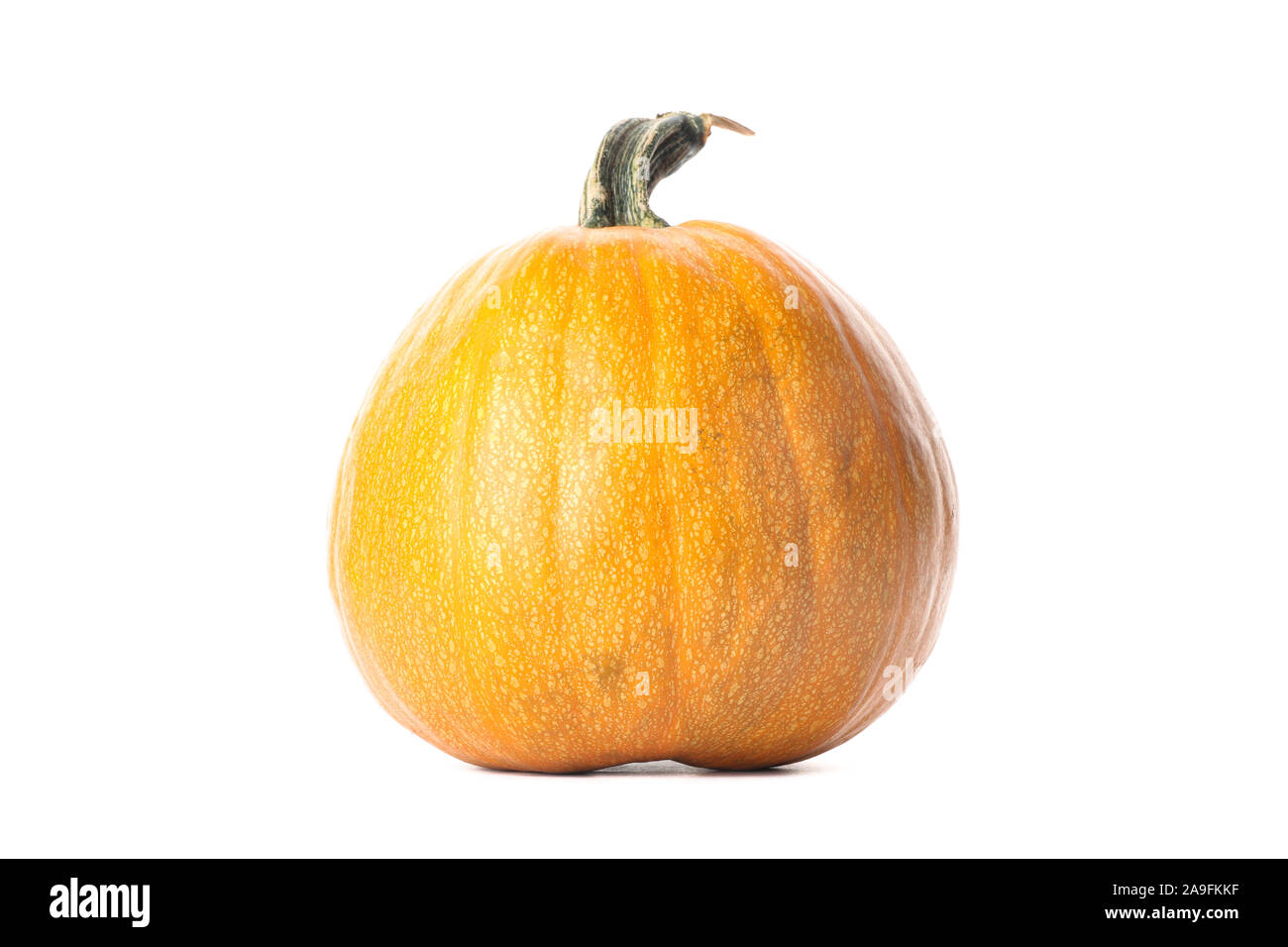 Fresh orange pumpkin isolated on white background Stock Photo - Alamy